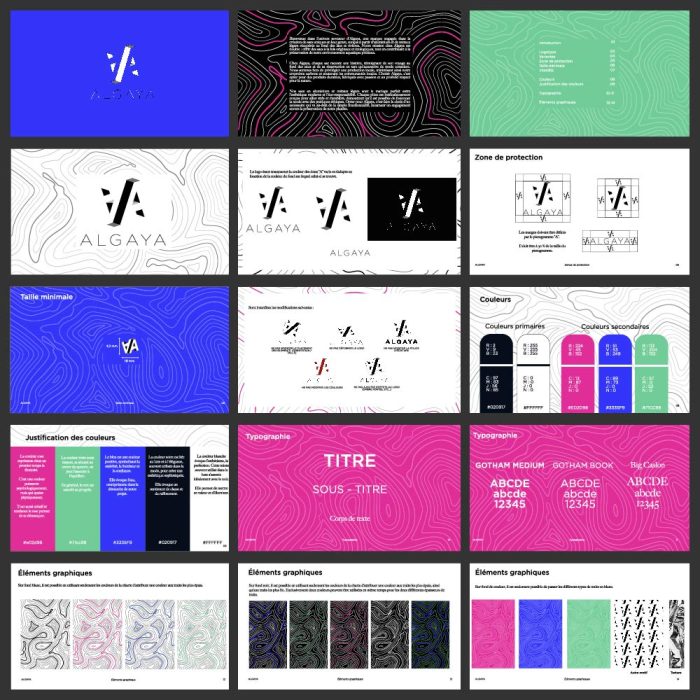 MOCKUP__CHARTE_GRAPHIQUE_ALGAYA