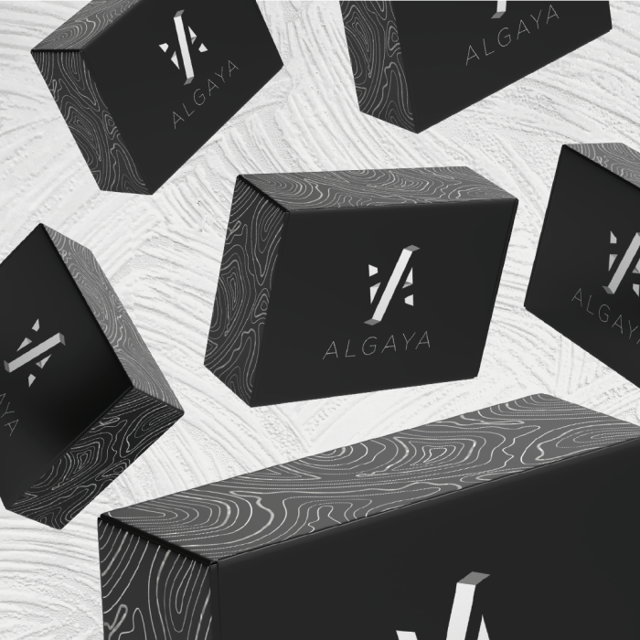 POST TEMPLATE ALGAYA_Plan de travail 1-03